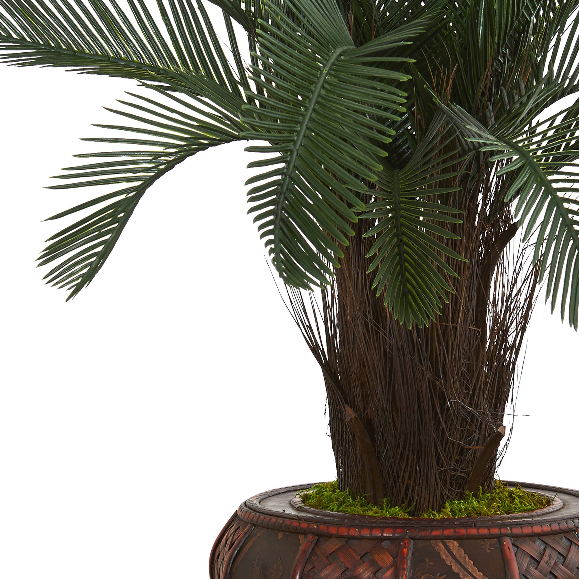 4ft. Cycas Tree in Decorative Stand